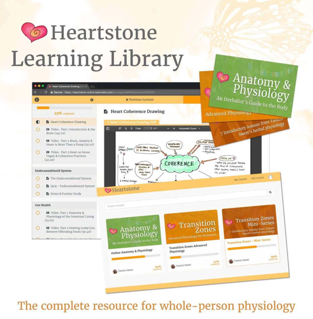 Heartstone Online has over 2,000 students enrolled in either free or paid programs, all managed by Maple.