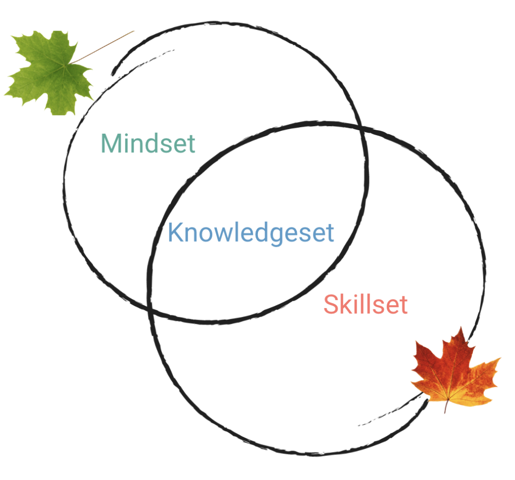 Diagram of the mindsets, knowledge sets, and skillsets required to build an effective website
